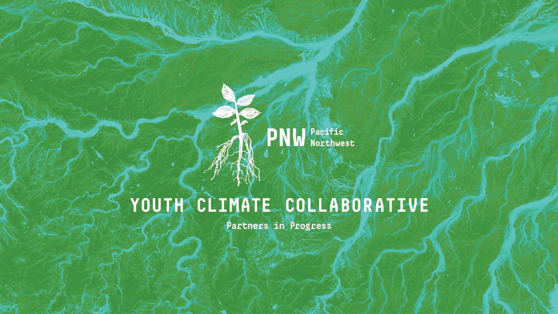 Am Fam YCC Viz Id Page