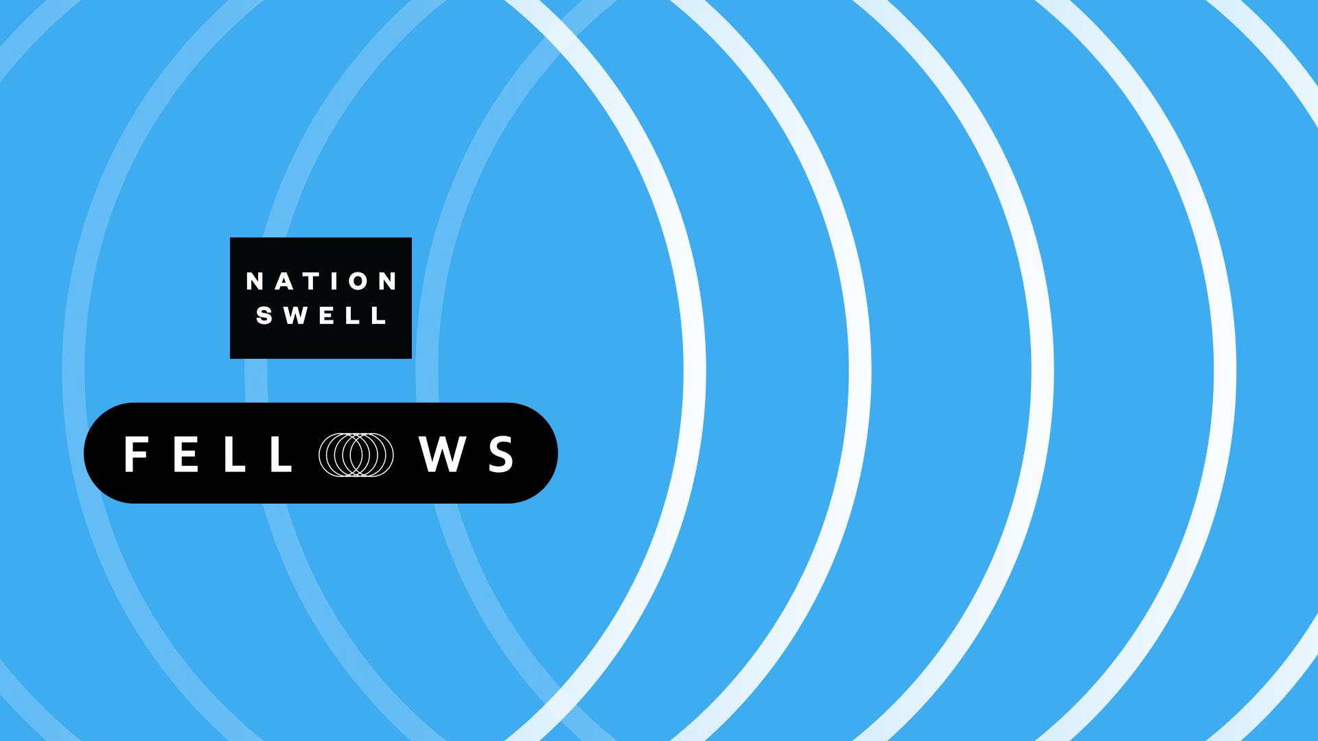 NationSwell Fellows Accelerator Program: Accelerating Young Leader’s Social Impact