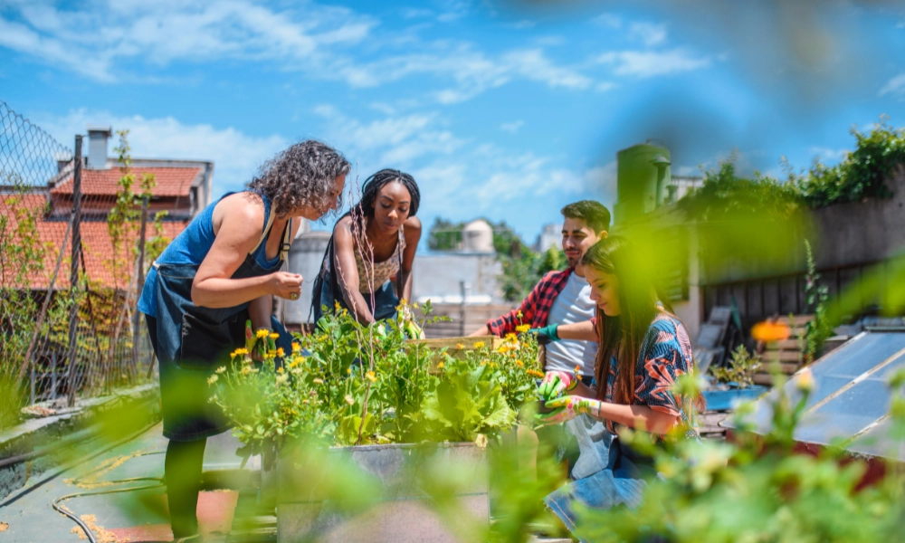 Volunteers at a community garden
