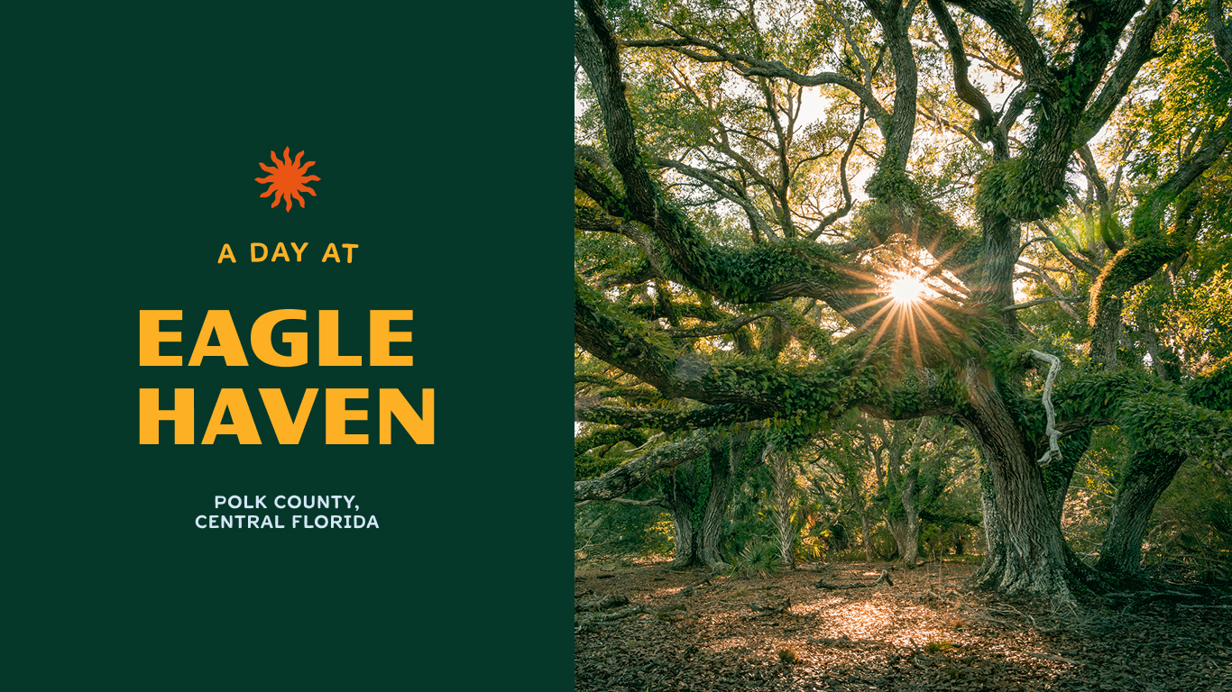 A Day at Eagle Haven - NationSwell